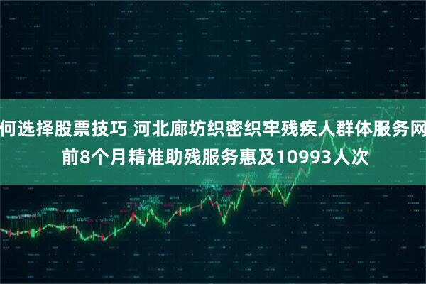 如何选择股票技巧 河北廊坊织密织牢残疾人群体服务网络 前8个月精准助残服务惠及10993人次