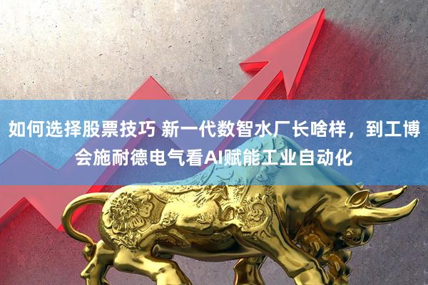 如何选择股票技巧 新一代数智水厂长啥样，到工博会施耐德电气看AI赋能工业自动化