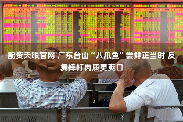 配资天眼官网 广东台山“八爪鱼”尝鲜正当时 反复摔打肉质更爽口