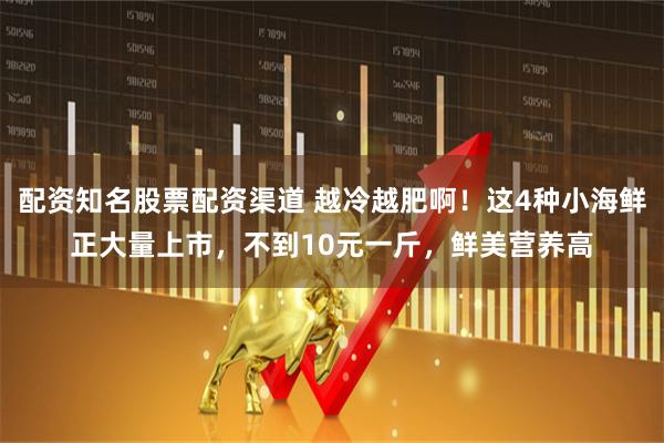 配资知名股票配资渠道 越冷越肥啊！这4种小海鲜正大量上市，不到10元一斤，鲜美营养高