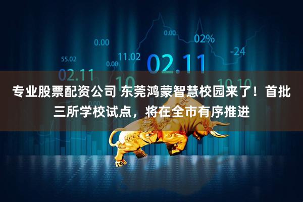 专业股票配资公司 东莞鸿蒙智慧校园来了！首批三所学校试点，将在全市有序推进